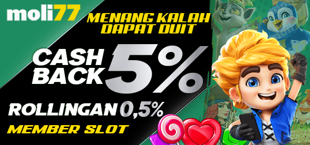 moli77 slot bonus rollingan dan cashback