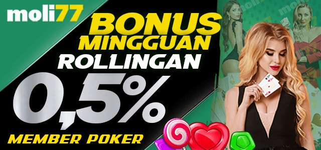 moli77 bonus rollingan poker