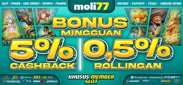 moli77 slot bonus rollingan dan cashback