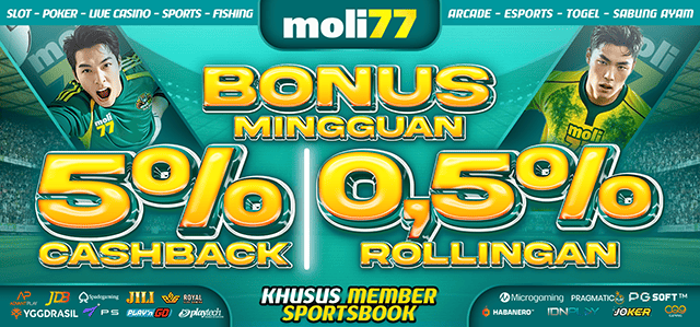 moli77 bonus sportbook